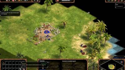 Кадры из игры Age of Empires